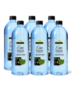 Eau de source gazéifiée arôme lime biologique