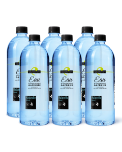 Eau de source naturelle gazéifiée nature